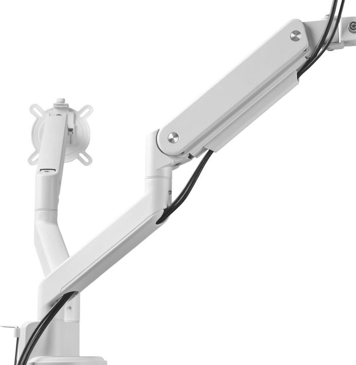 Produktbild One for All Monitor Halterung Solid Dual White DM 4220 (Tisch, 35")