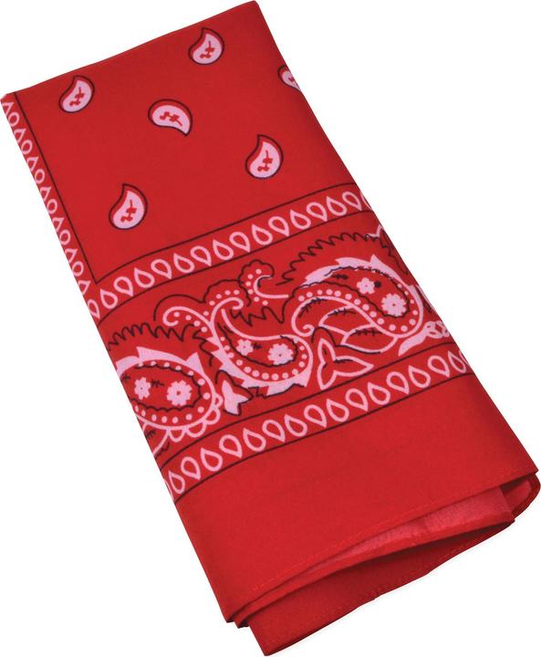 Bristol Novelty Bandana