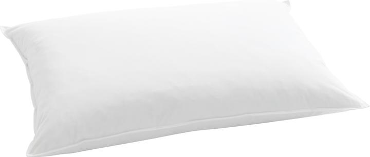 Billerbeck Standard 250