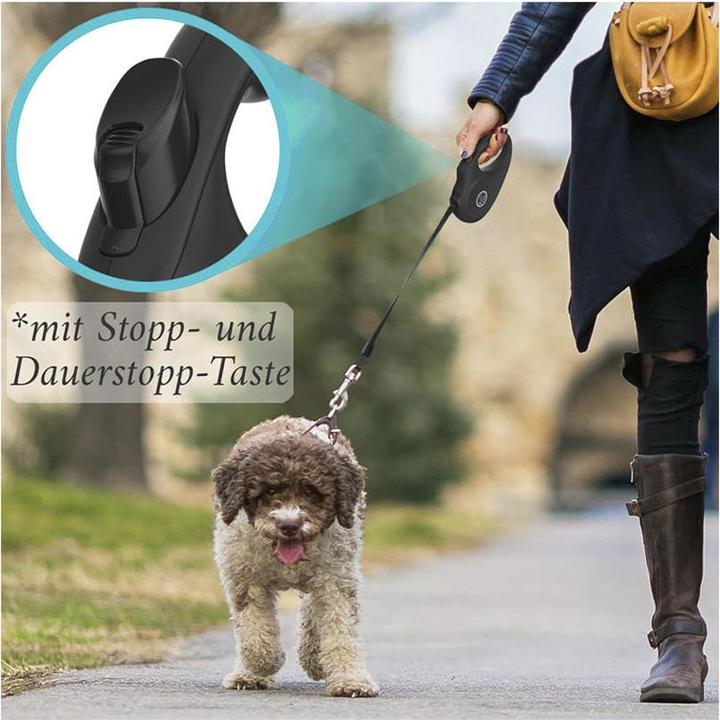 Immagine prodotto Hund ist König Filo di avvolgimento M 5m (M, Cane, Generale)