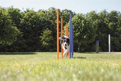Actual product image Trixie Fun Agility Slalom (Agility)