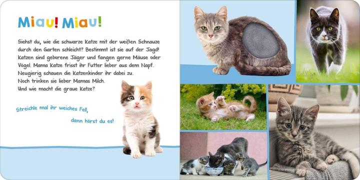 Produktbild Hör mal rein, wer kann das sein? Haustiere (Deutsch)