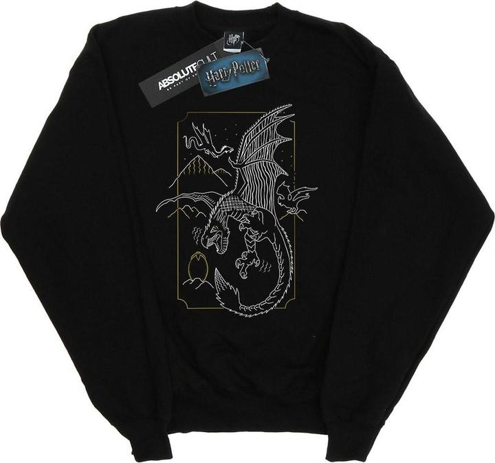 Actual product image Boys Dragon Line Art Sweatshirt (116)