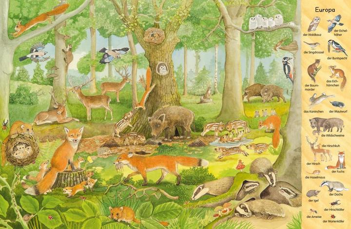 Image du produit Mon premier livre d'images : Les animaux du monde entier (Allemand)