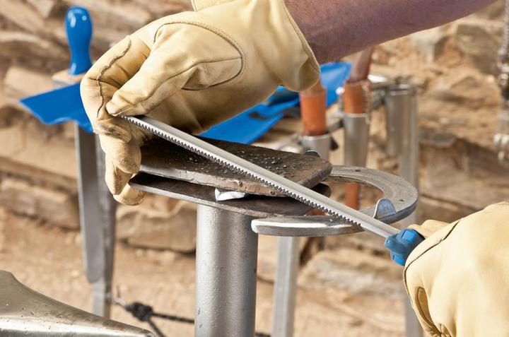 Productafbeelding Pferd 295 300 Z1 (Cut 0, 300 mm)