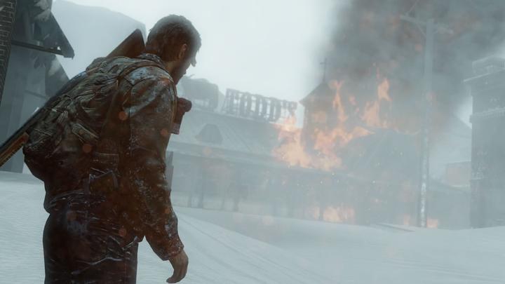 Actual product image Sony The Last of Us Remastered (PS4, IT)