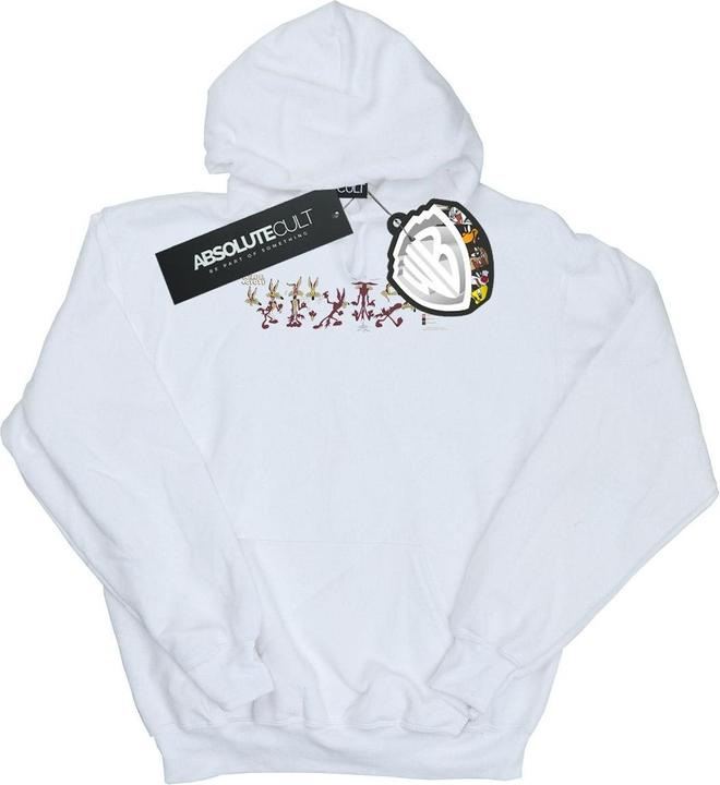 Actual product image Looney Tunes Womens/Ladies Wile E Coyote Colour Code Hoodie (M)