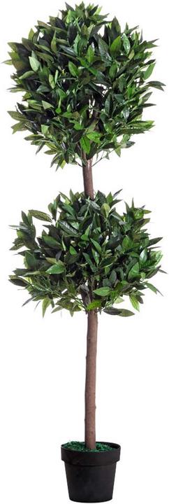 Produktbild Paperflow Lorbeerbaum (165 cm)