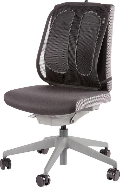 Actual product image Fellowes Back support