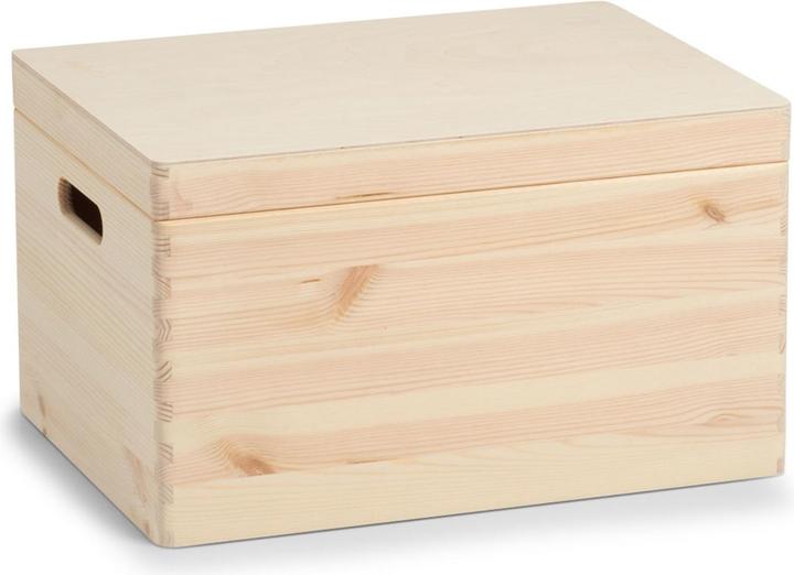 Zeller Present Allzweckkiste (40 x 30 x 23 cm, 29 l)