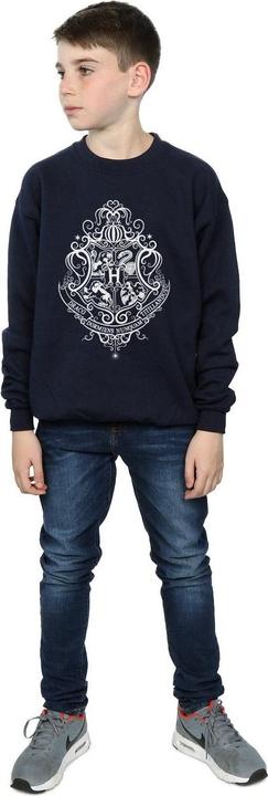 Image du produit - Sweat HOGWARTS DRACO DORMIENS CREST - Garçon (152, 158)