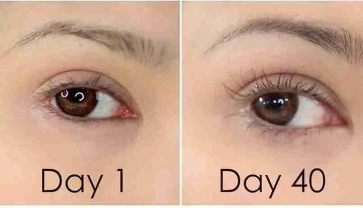Produktbild Etude House My Lash Serum 9g