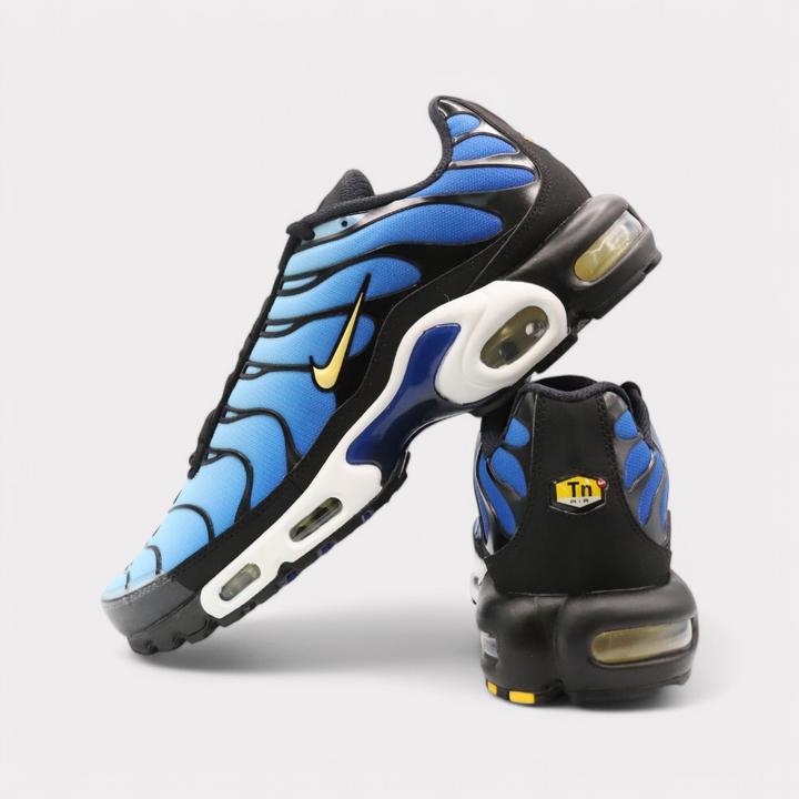 Actual product image Nike Air Max Plus OG (40.5)