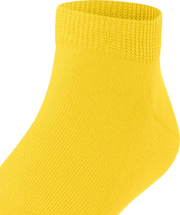 Image du produit Falke Famille Enfants (31 - 34)