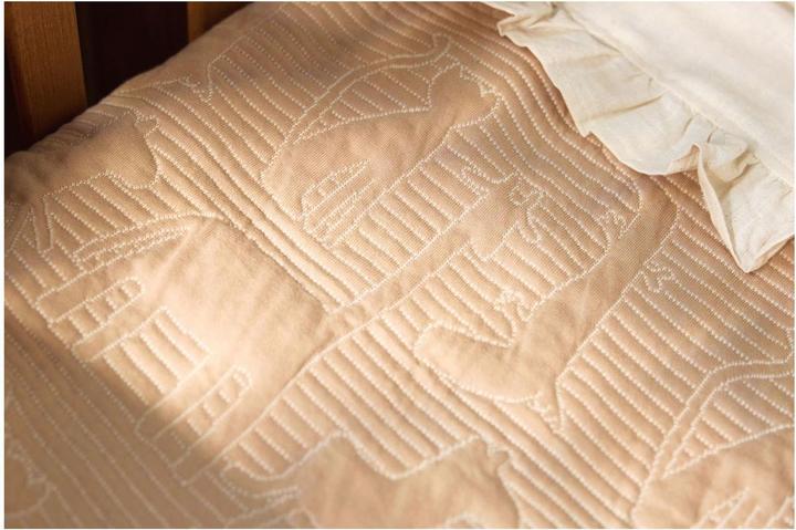 Produktbild Jollein Decke Jersey (100 x 150 cm)