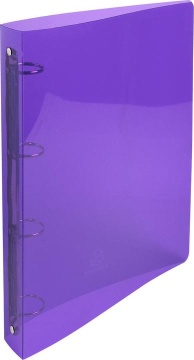 Actual product image Exacompta Ring binders (A4, 40 mm, 240.30 Piece)
