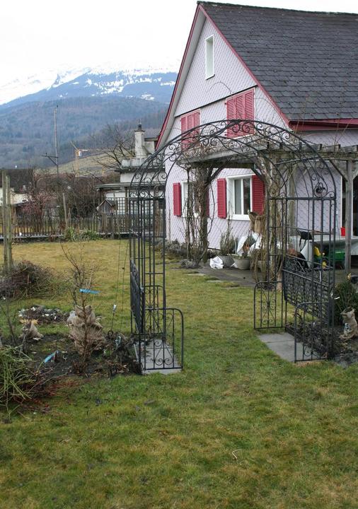 Produktbild Lubera Zwerghopfen Gimli