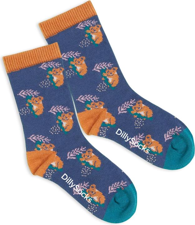 DillySocks Kindersocken Lil Comfy Koala
