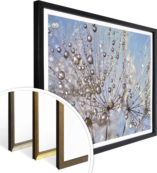 Immagine prodotto Trenddeko Goccia d'acqua nel dente di leone (80 x 60 cm)