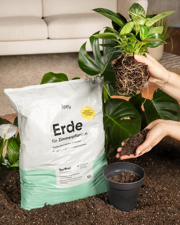 Image du produit feey Terre (10 l, Sol sans tourbe)
