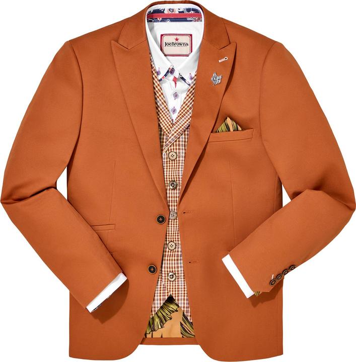 Actual product image Joe Browns Terracotta Blazer (38)