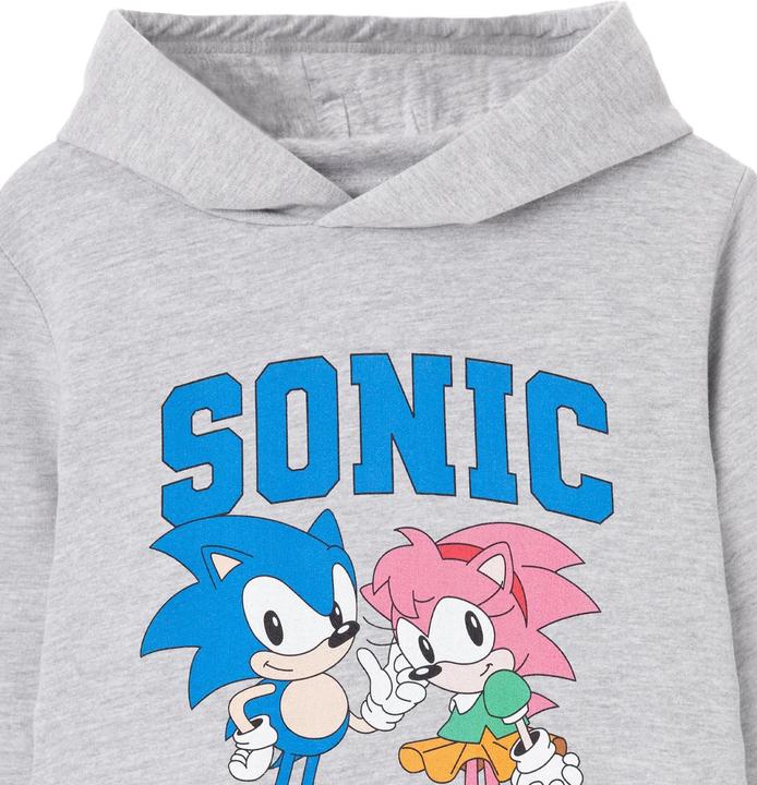 Actual product image Sonic The Hedgehog Girls Collegiate Sonic & Amy Hoodie (146, 152)