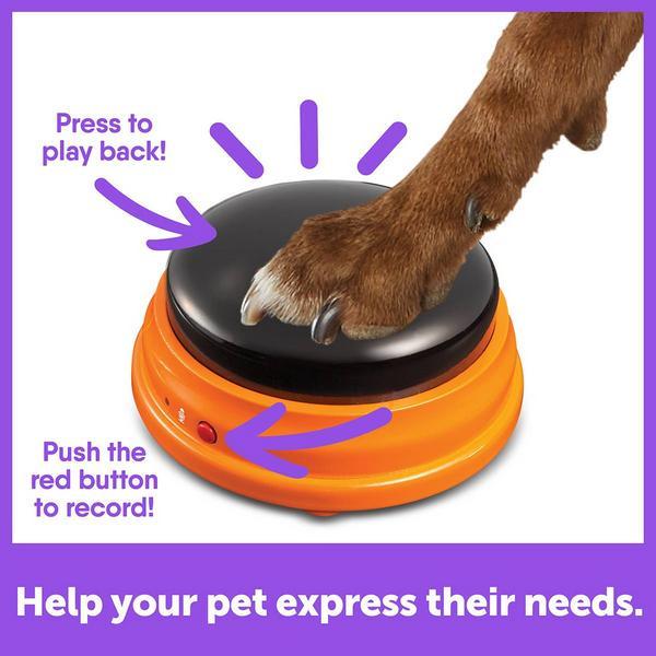 Actual product image Hunger for Words Talking Pet Starter Set (Dog activity toy)
