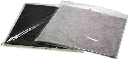 Actual product image De'Longhi Replacement filter for DAP700E (1 x)