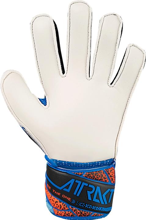 Actual product image Reusch Football Attrakt Solid (7.5)