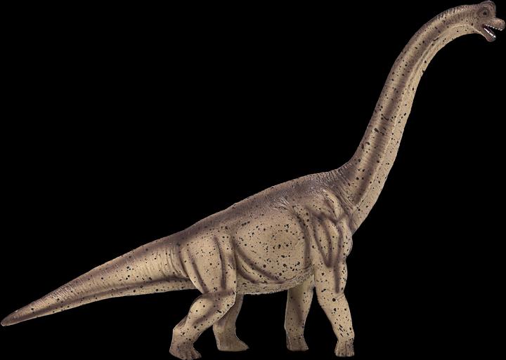 Immagine prodotto small foot Brachiosaurus