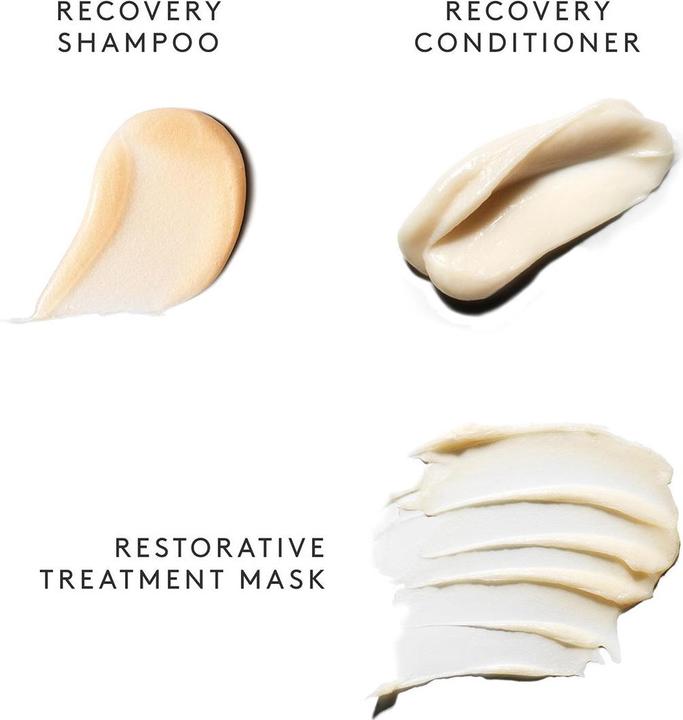 Actual product image Virtue Labs Recovery Discovery Kit (Hair care set)