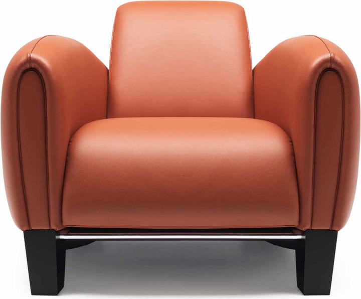Actual product image De Sede Ds-57/01 armchair
