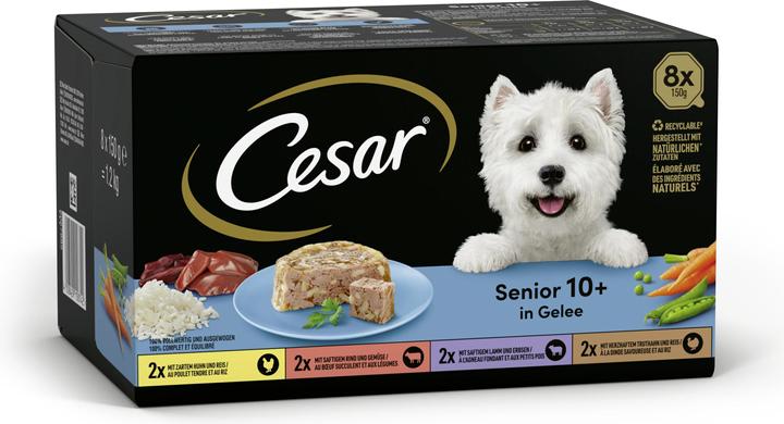 Actual product image Cesar Senior Multipack (Senior, 3 pcs., 1200 g)