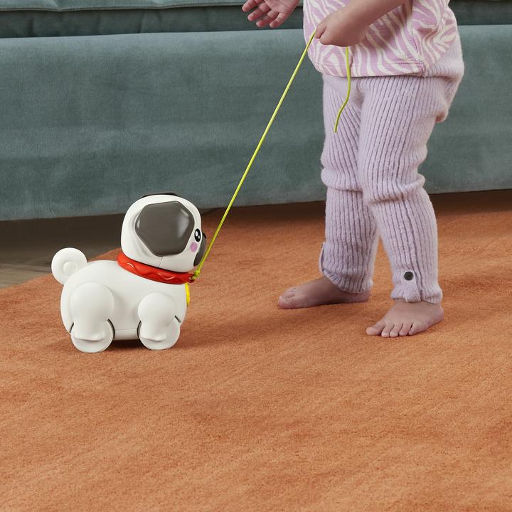 Immagine prodotto Fisher-Price gioca e tira il carlino