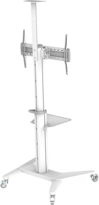 Actual product image PureMounts TV Trolley PDS-0003C DS, White (Universal, 70", 70 kg)