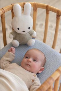 Immagine prodotto Smiffys Miffy, peluche 25 cm, verde e soffice (25 cm)