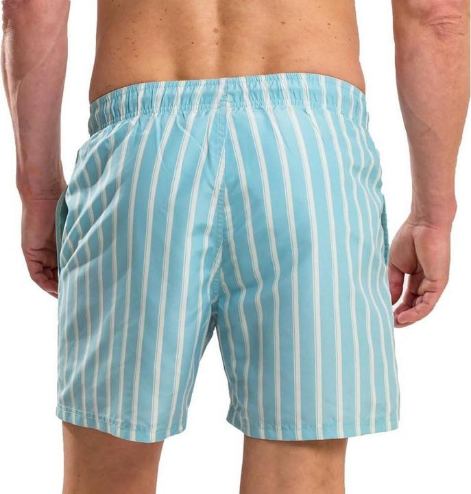 Immagine prodotto Ript Essentials Costume da Bagno a Pantaloncino Strisce Uomo (L)