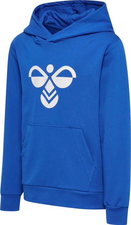 Image du produit hummel hmlCUATRO HOODIE (110)