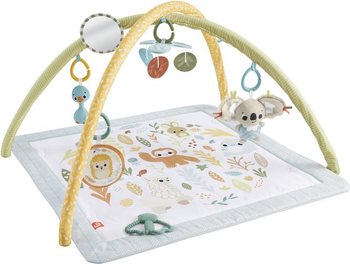 Actual product image Fisher-Price Simply Senses