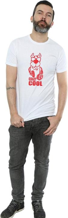 Actual product image Scooby Doo Mens Crazy Cool T-Shirt (XL)