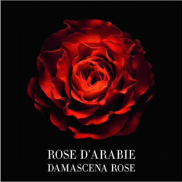 Immagine prodotto Giorgio Armani Privé Rose d'Arabie Intense (Eau de parfum, 100 ml)