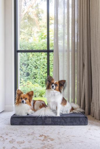 Image du produit Designed by Lotte Coussin pour cage Orthopaed Ribbed (Chien)