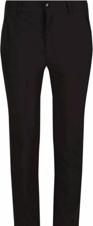 Actual product image Regatta Highton trousers (104)