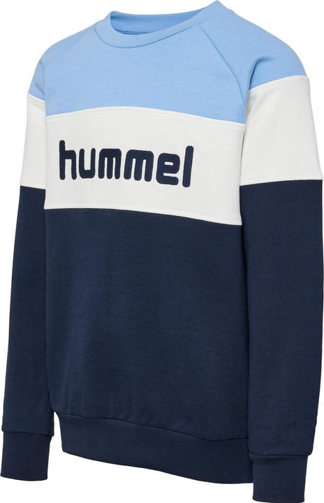 Image du produit hummel hmlCLAES SWEATSHIRT (110)