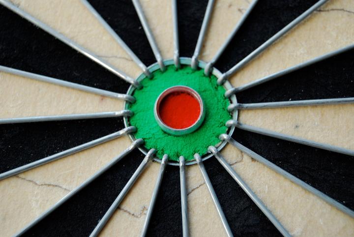 Actual product image Winmau Pro SFB