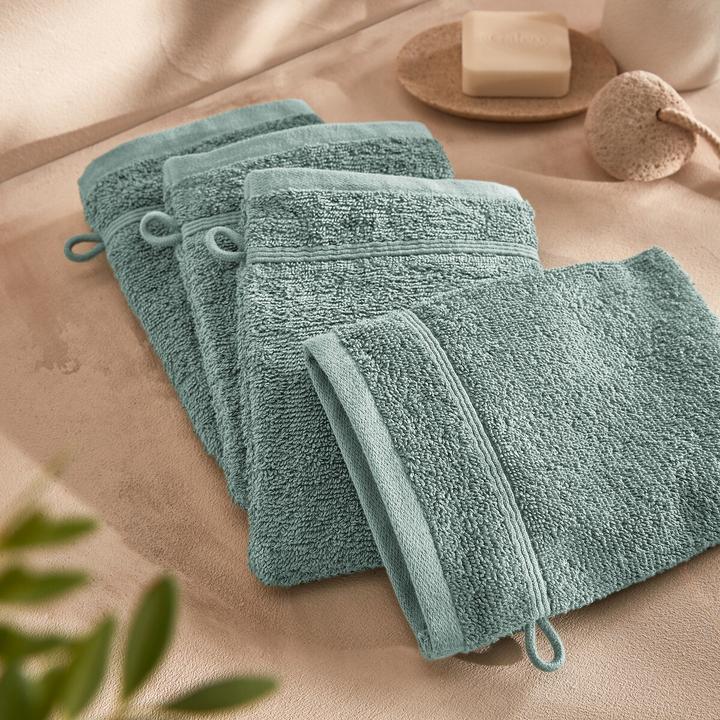 Image du produit La Redoute Interieurs Gants De Toilette (15 x 21 cm)