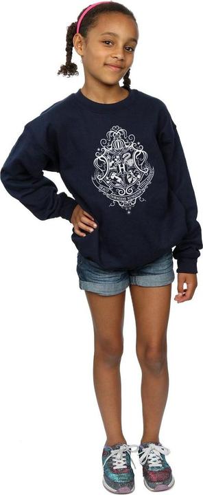 Image du produit - Sweat HOGWARTS DRACO DORMIENS CREST - Fille (140, 146)
