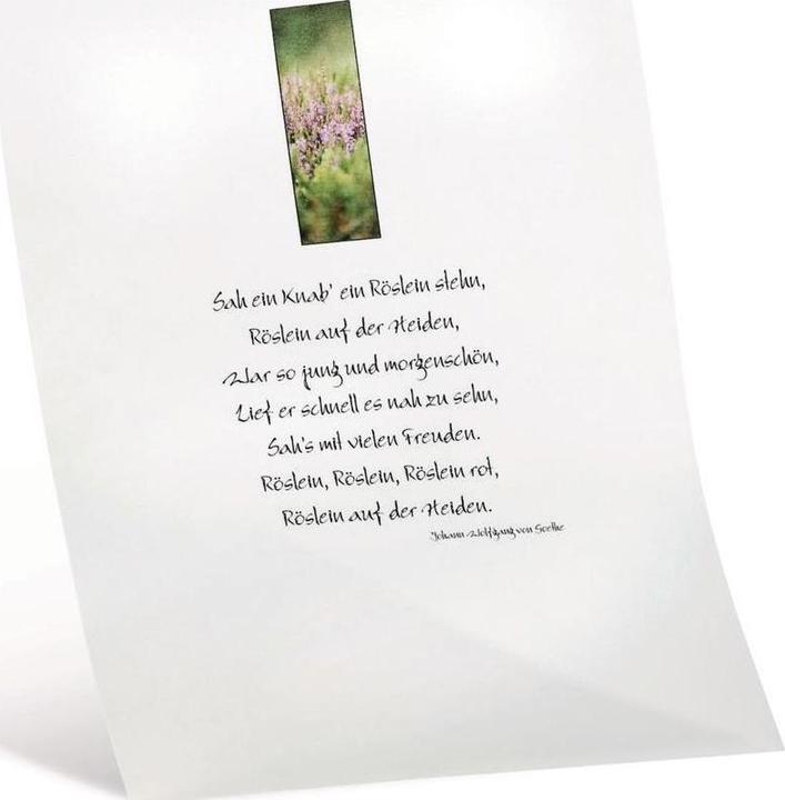 Image du produit Folia Papier transparent blanc extra fort (115 g/m², A4, 10 x)