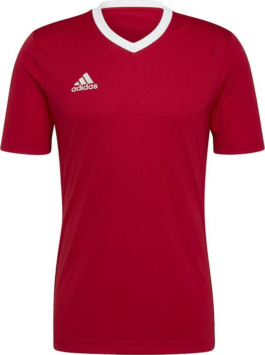adidas Entrada 22 Fussballtrikot Herren