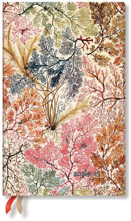 Paperblanks Wochenagenda Maxi 2024 / 2025 Anemone (13.5 x 21 cm, Liniert, Weicher Einband)